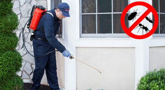 Eleşkirt Kene İlaçlama böcek ilaçlama ve haşere kontrolü — ilaclama-tr.com